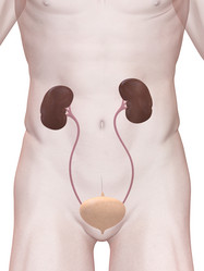 Similar image 8194728