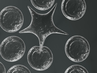 Similar image 8194759