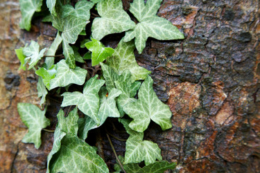 Similar image 8194769