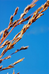 Similar image 8194770