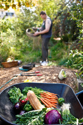 Similar image 8194787