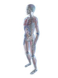 Similar image 8194790