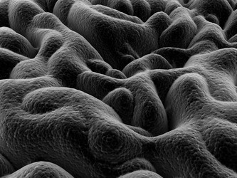 Similar image 8194798