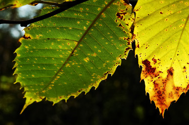 Similar image 8194837