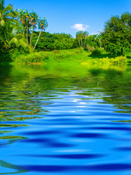 Similar image 8194855