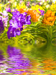 Similar image 8194856