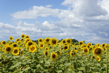 Similar image 8194857