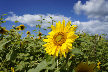 Similar image 8194858