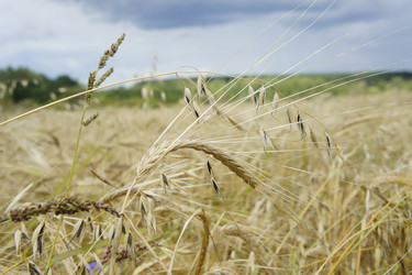 Similar image 8194860