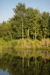 Similar image 8194862