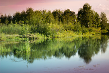 Similar image 8194863