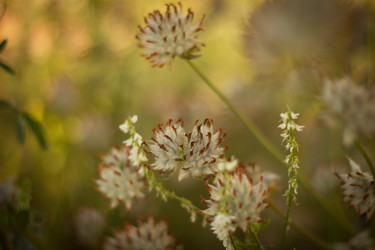 Similar image 8194864