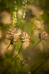 Similar image 8194865