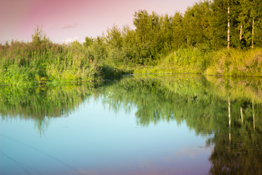 Similar image 8194867