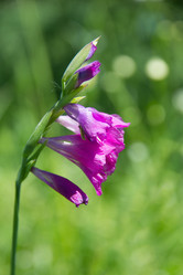 Similar image 8194926