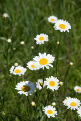 Similar image 8194946