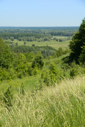 Similar image 8194951