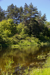 Similar image 8194952