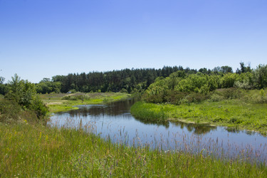 Similar image 8194953