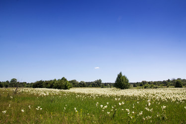 Similar image 8194954