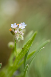 Similar image 8194955