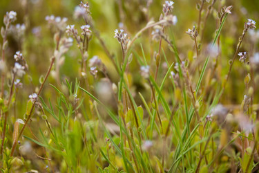 Similar image 8194956