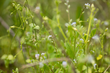 Similar image 8194957