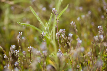 Similar image 8194958