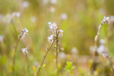 Similar image 8194959