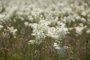 Similar image 8194960