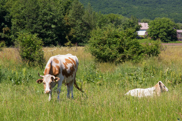 Similar image 8194961