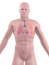 Similar image 8195179