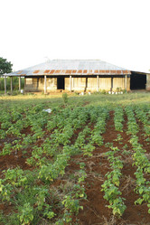 Similar image 8195181