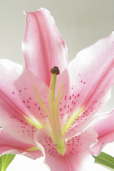 Similar image 8195188