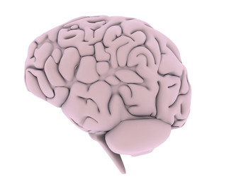 Similar image 8195195