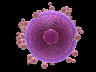 Similar image 8195204