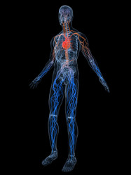 Similar image 8195219