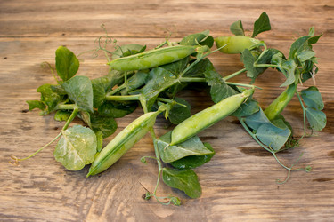 Similar image 8195222