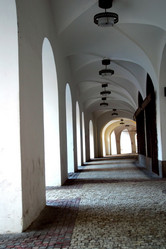 Similar image 8195229