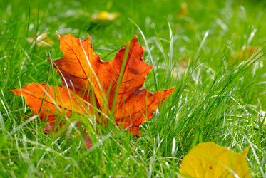 Similar image 8195257