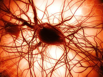 Similar image 8195264