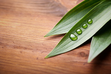 Similar image 8195276