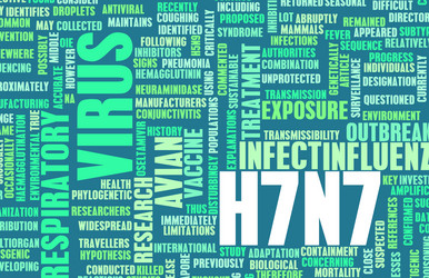 Similar image 8195370