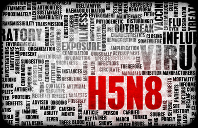 Similar image 8195380