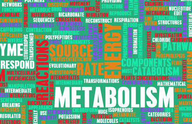 Similar image 8195414