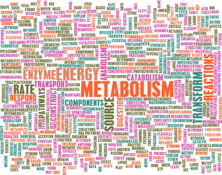 Similar image 8195923