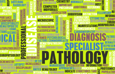 Similar image 8195927