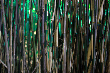 Similar image 8196050