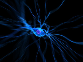 Similar image 8196081