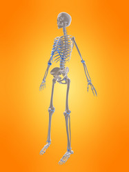 Similar image 8196089